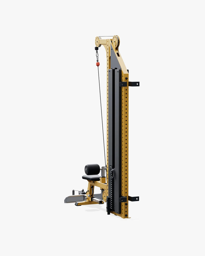 ELEIKO ラットプルダウン＆ローロウ コンボ 壁面設置型 120kg シグナルイエローのローロウ設定 背面斜視
