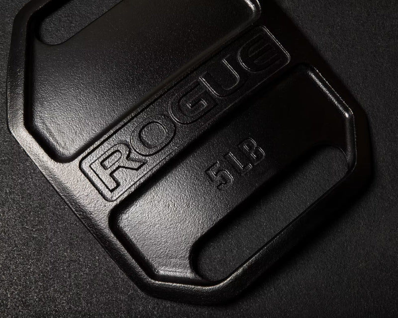ROGUE エコーウェイトベストプレート ブラックの5LBモデルを斜め上方から接写し、ROGUEロゴ、重量表示、下部ハンドルと表面仕上げを確認できる構成