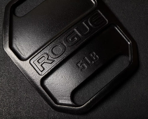 ROGUE エコーウェイトベストプレート ブラックの5LBモデルを斜め上方から接写し、ROGUEロゴ、重量表示、下部ハンドルと表面仕上げを確認できる構成