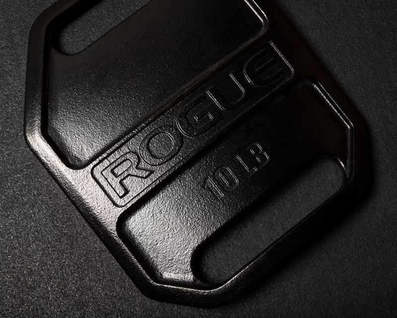 ROGUE エコーウェイトベストプレート ブラックの10LBモデルを斜め上方から拡大し、鋳造成形のROGUEロゴ、重量表記、下部持ち手を確認できる構成